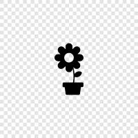 interior design, interior decorating, interior decoration, interior plants icon svg