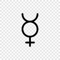 intersex, transgender, gender identity, gender expression icon svg