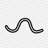 intestinal, intestinal worm, intestinal worm disease, intestinal worm infection icon svg