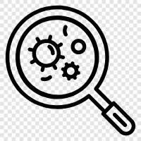 investigation, data, statistics, study icon svg