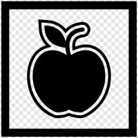 iPad, iPhone, iPod, iPod touch icon svg