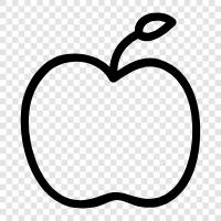 iPad, iPhone, iPod, MacBook symbol