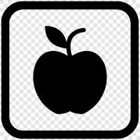 iPhone, iPad, iPod touch, Mac icon svg