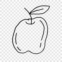 iPhone, iPad, iPod, продукты Apple Значок svg