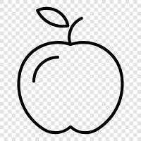 iPhone, iPad, iPod, Apple Watch symbol