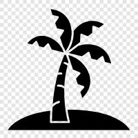 island chain, island country, island resort, isla icon svg