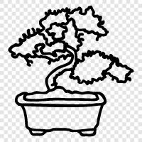 Japanese, trees, garden, gardening icon svg