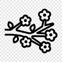 Japanese Cherry Blossom, Sakura, Japan, Kyoto icon svg