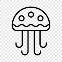 Jellyfish Pictures, Jellyfish Videos, Jellyfish Facts, Jellyfish icon svg