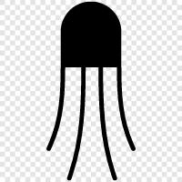 Jellyfish Pictures, Jellyfish Videos, Jellyfish Pictures Gallery, Jellyfish icon svg