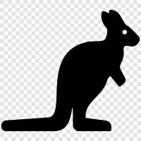 joey, kangaroo animal, Australian, marsupial icon svg