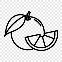 juice, fruit, vegetable, orange icon svg