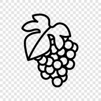 juice, wine, raisins, fruit icon svg