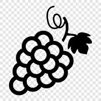 juice, wine, alcoholic, Grape icon svg