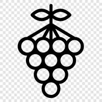 Saft, Wein, Obst, Rosinen symbol