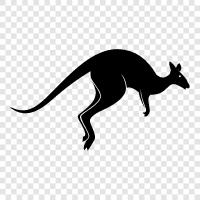 kangaroo, hopping, leaping, bounding icon svg