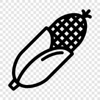 kernels, on the cob, sweet, white icon svg