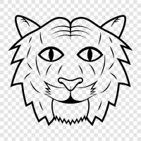 King, Jungle, Animal, Pride icon svg