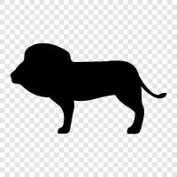 king of beasts, majestic, ferocious, proud icon svg