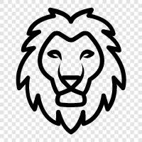 king of the jungle, big cat, animal, Lion icon svg