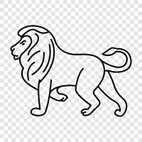 king of the jungle, big cat, endangered, endangered species icon svg