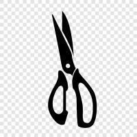 kitchen shears, kitchen scissors, kitchen, kitchen scissor icon svg