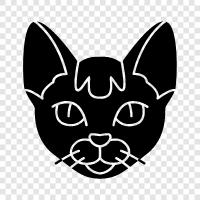 kitten, animal, care, feed icon svg