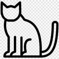 Kätzchen, Katzen, Hauskatze, Siamesisch symbol