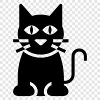 kitten, house cat, domestic cat, feline icon svg