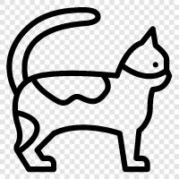 kitten, house cat, Siamese cat, Persian cat icon svg