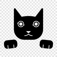 kitten, feline, house cat, feral cat icon svg