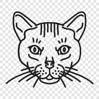 kitty, pet, housecat, indoor cat icon svg