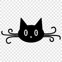 kitty, feline, hauskatze, niedlich symbol