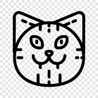 kitty, pet, house cat, friendly icon svg