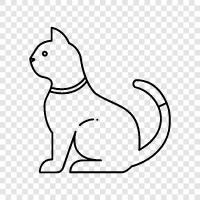 kitty, feline, felines, house cat icon svg