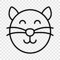 kitty, felines, house pets, animals icon svg