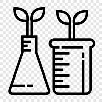 laboratory for plants, botanical laboratory, plant breeding, plant science icon svg