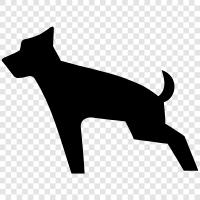 Labrador Retriever, Yorkie, Golden Retriever, Cocker icon svg