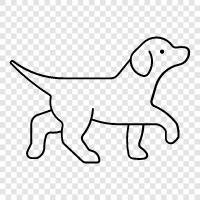 Labrador Retriever Yavruları, Labrador Retriever Eğitimi, Labrador Ret, Labrador Retriever ikon svg