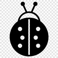 ladybug icon svg