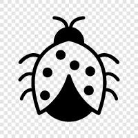 ladybug ikon svg