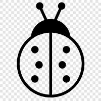 ladybug icon svg