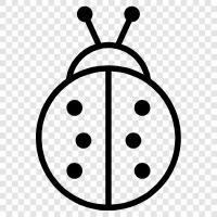 ladybug icon svg