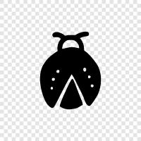 Ladybug Ladybug, Ladybug ikon svg