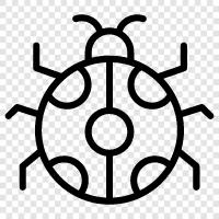 ladybug larva, ladybug larvae, ladybug bug, ladybug icon svg