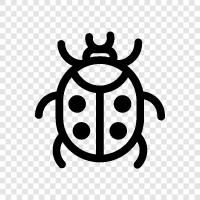 ladybug ikon svg