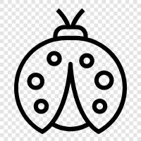 ladybug icon svg
