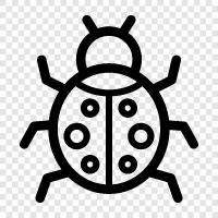 ladybug icon svg