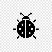 ladybug ikon svg