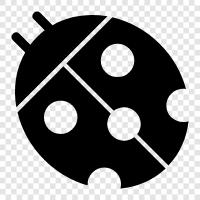 ladybug icon svg